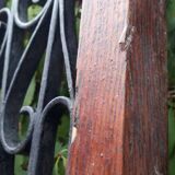 Porte d’entrée vitrée en chêne et grilles en fer, XIXème s.