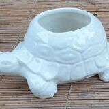 Turtle pot cache