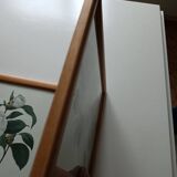 Vintage botanical illustration reboute.