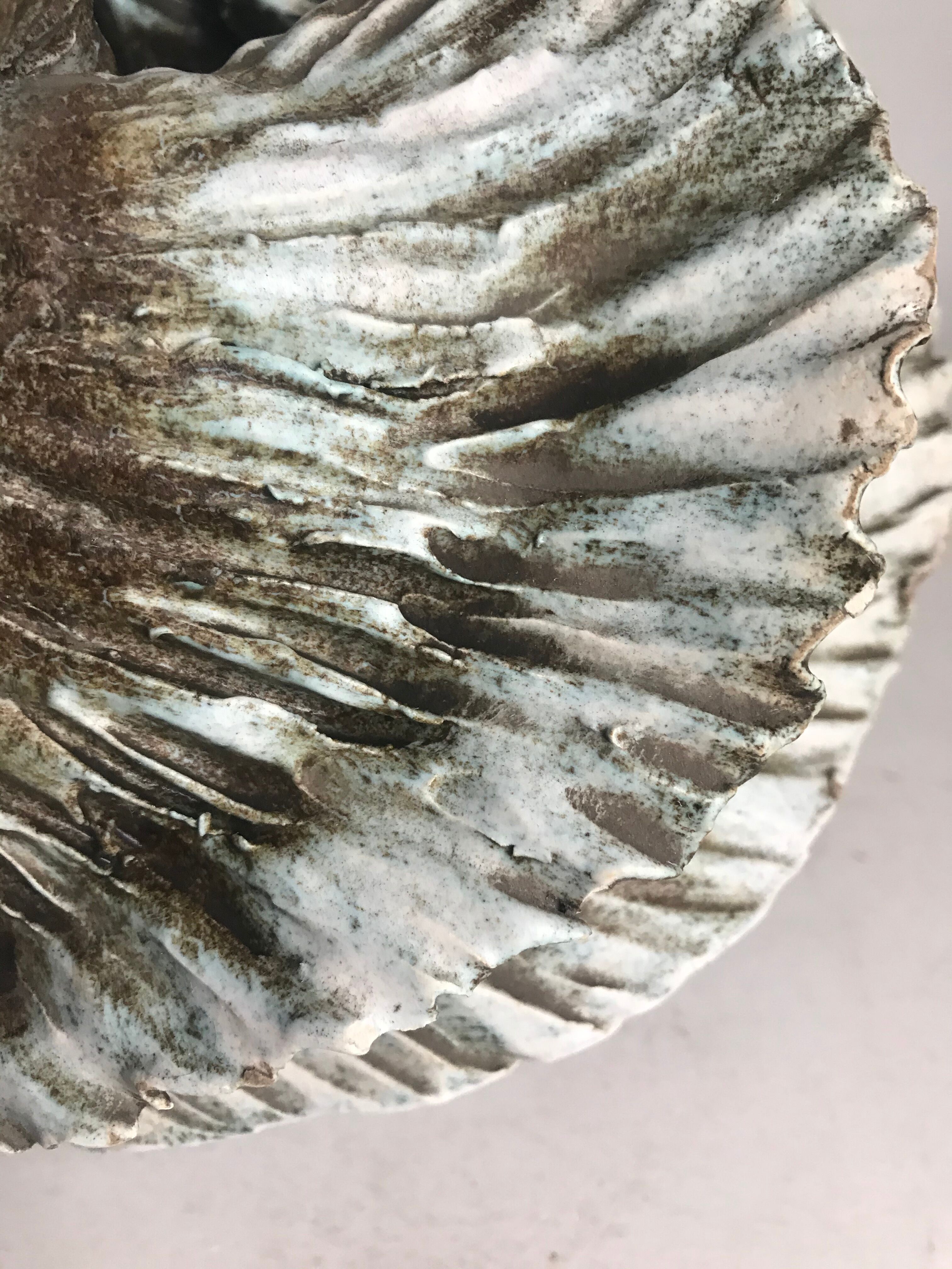 Ceramic vase deceives the eye of Jova kale