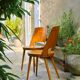 Paire de chaises mondor du designer baumann circa 50/60