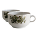 2 tasses en porcelaine Winterling à fleurs vertes