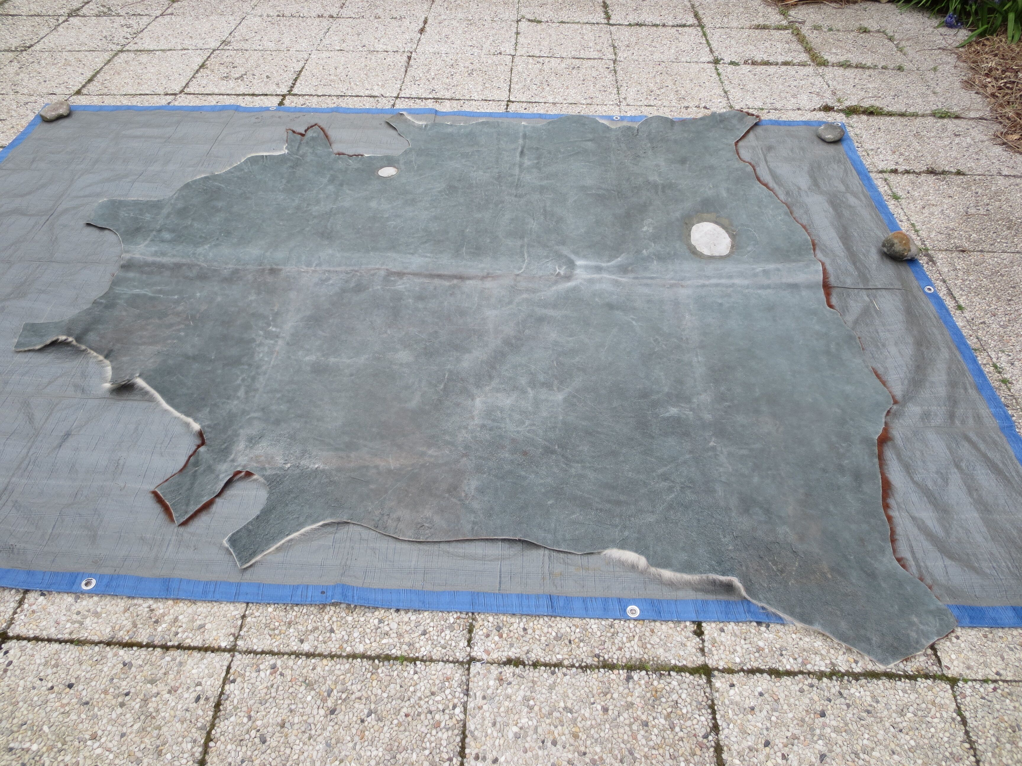 Cowhide color auburn and white 200x200cm