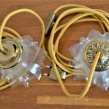 Duo of walkers in glass flowers and yellow cord