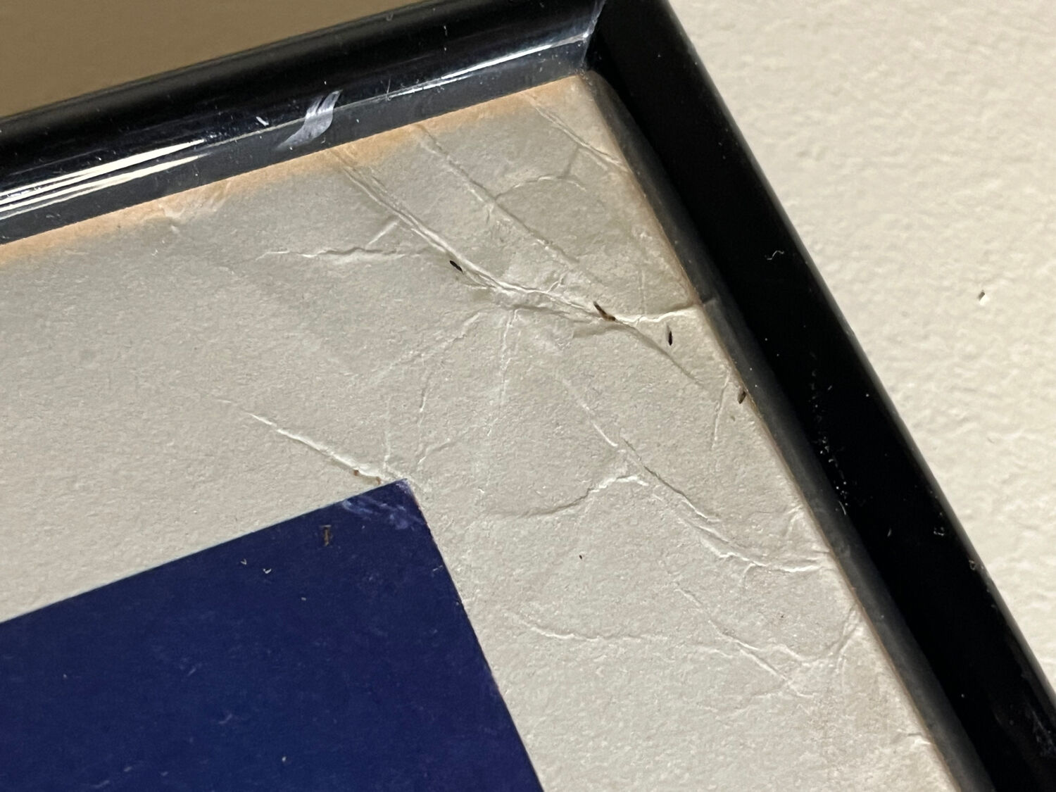 Original lithograph by raymond moretti – signed and numbered