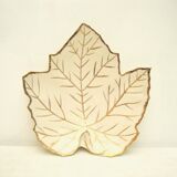 Empty-pocket plane tree leaf