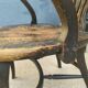 Paire de fauteuils américain