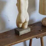 Venus bust