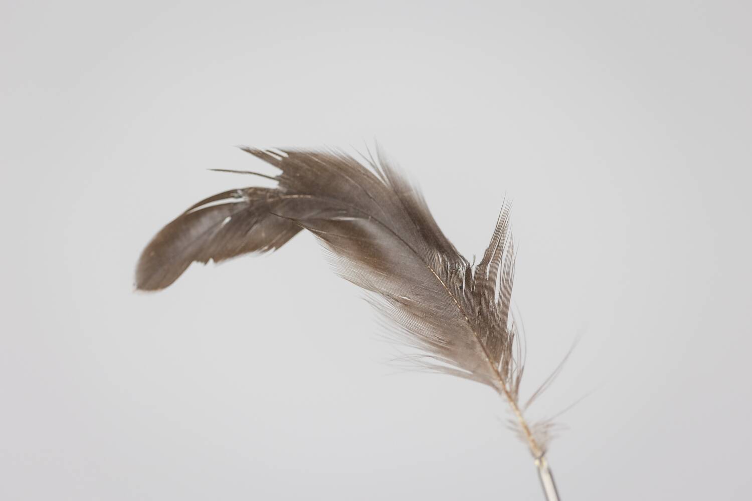 Ingo Maurer. “Bibibibi” model lamp. 1980s.