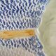 Plat poisson barbotine