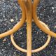 Parrot coat rack