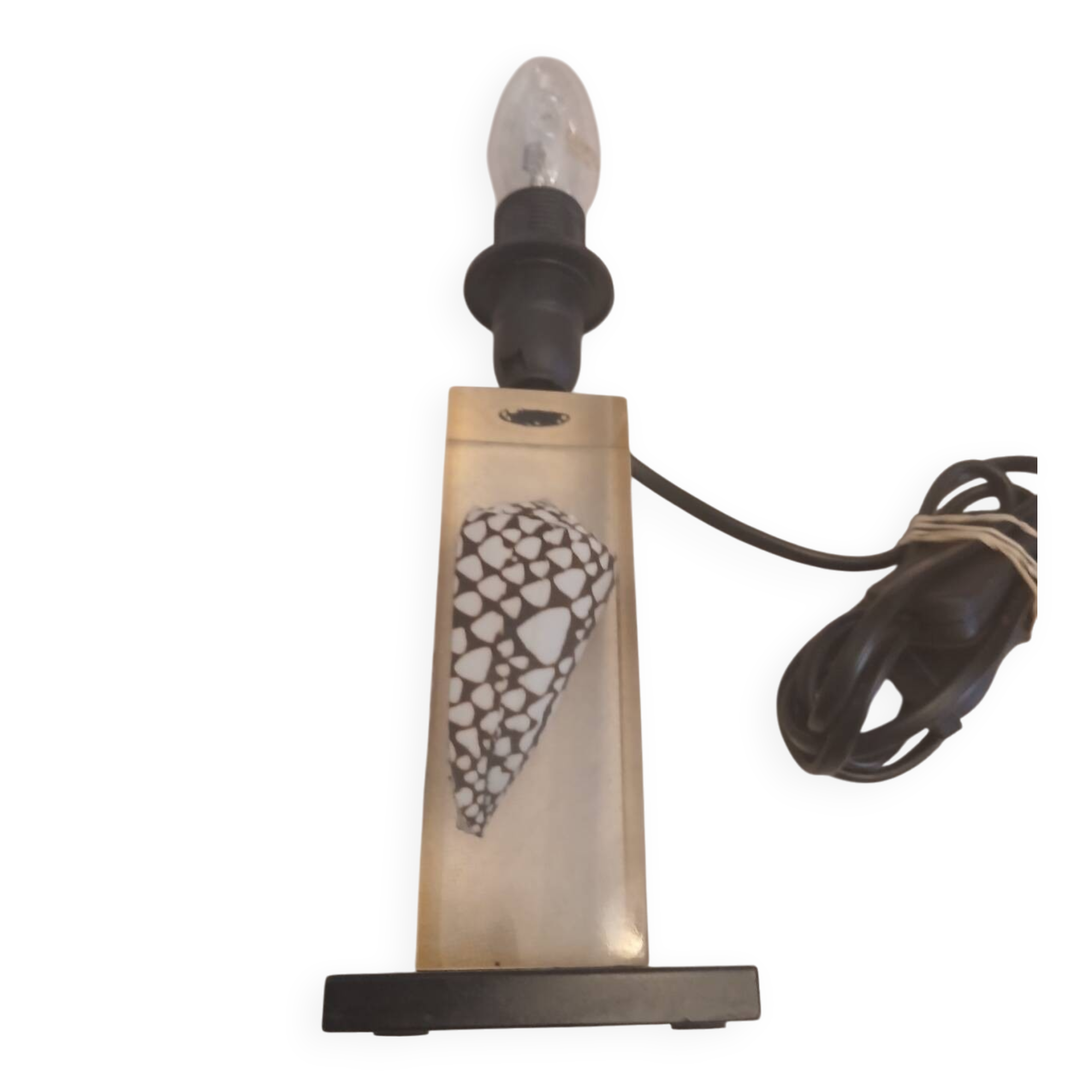 Shell inclusion lamp