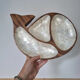 Empty wooden and mother-of-pearl whale pocket display