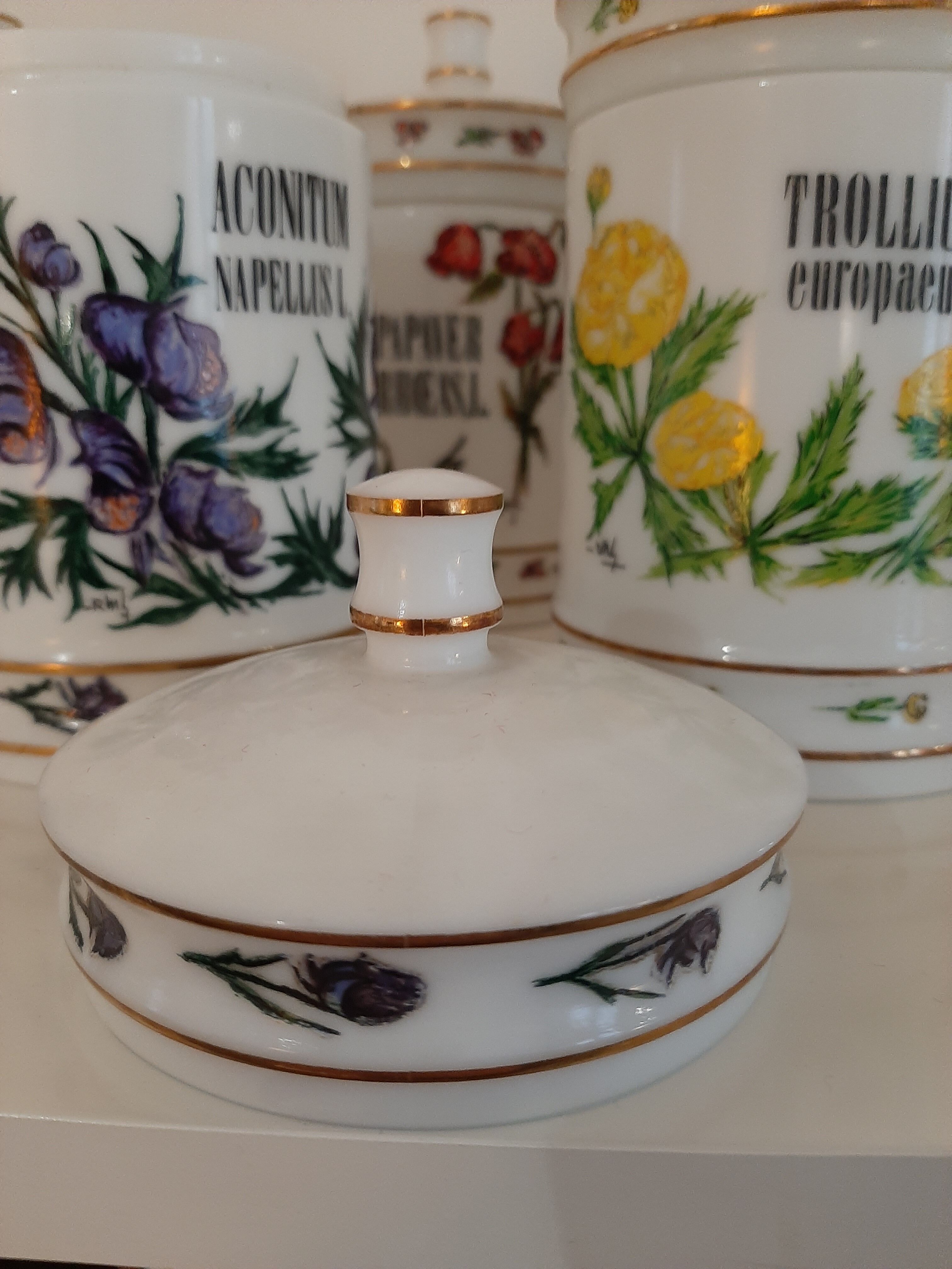 Series of 7 pharmacy jars in opaline