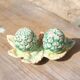 Salt & pepper set in slip – artichokes on leaf tray
