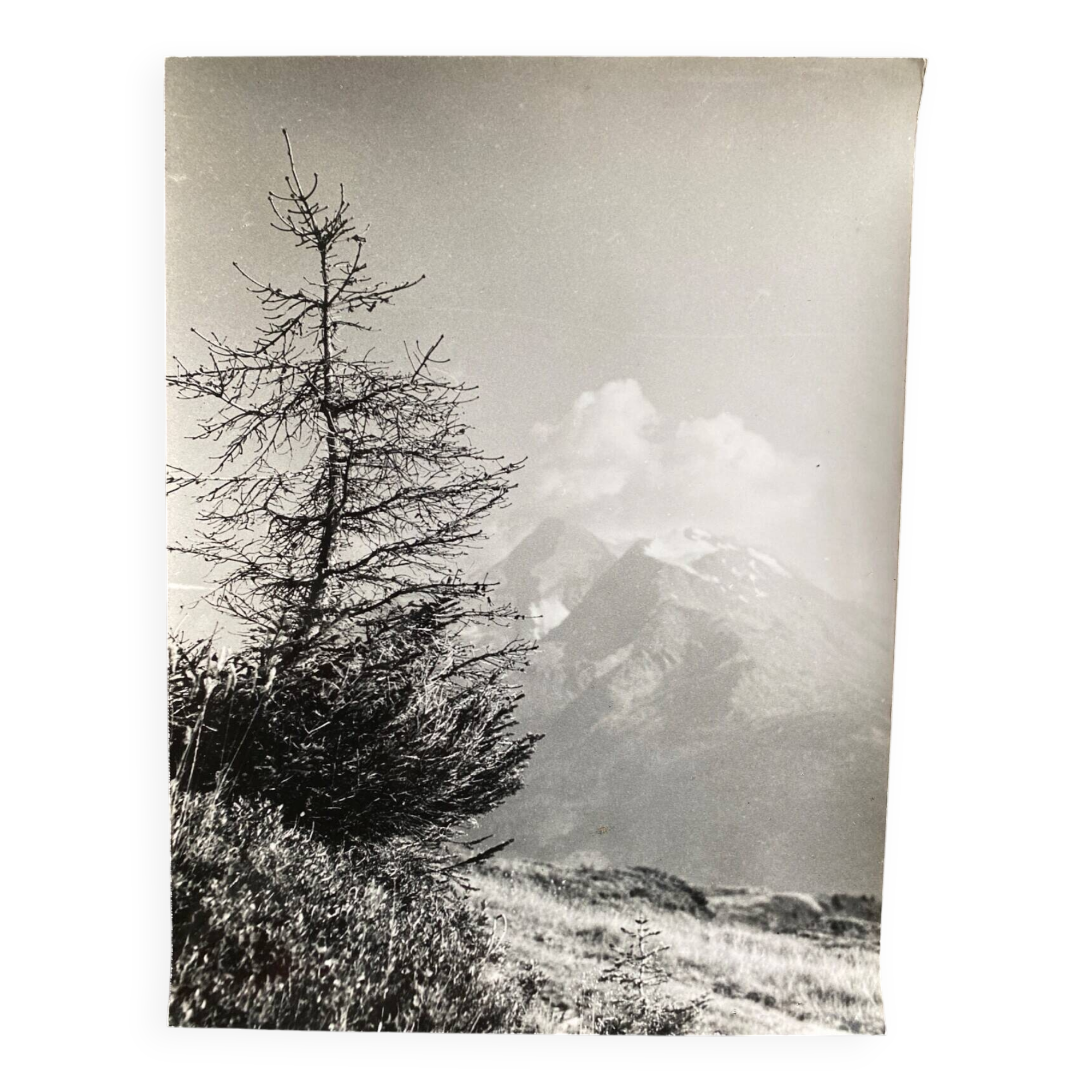 Silver gelatin photograph, Peaks, Bernard Darot, Nantes Photo Club
