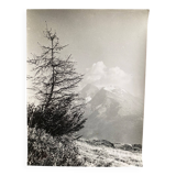 Silver gelatin photograph, Peaks, Bernard Darot, Nantes Photo Club