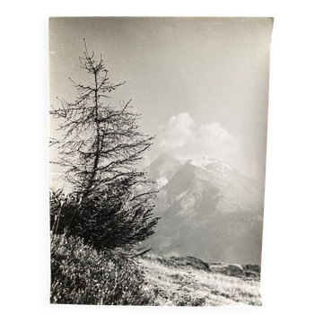 Silver gelatin photograph, Peaks, Bernard Darot, Nantes Photo Club