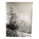 Photo argentique Cimes Bernard Darot Photo Club Nantais