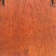 Deer trophy on wooden base 1960