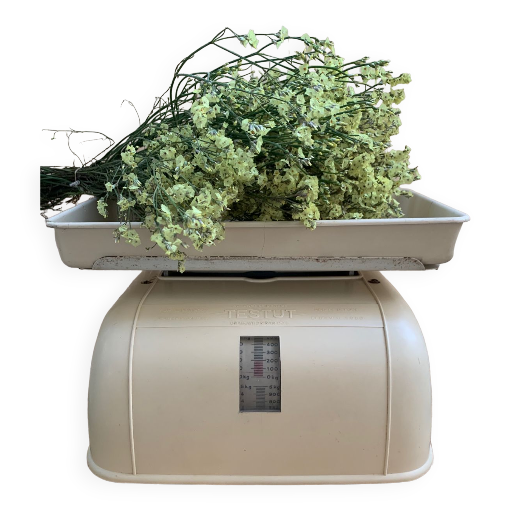 Testut household balance