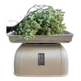 Testut household balance