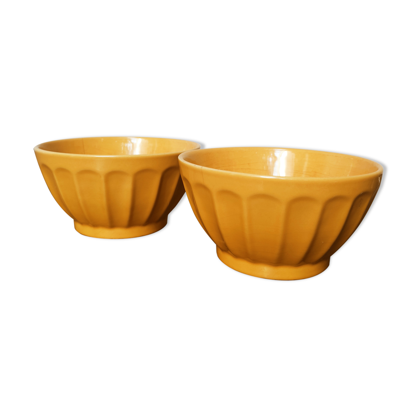 Duo of rib bowls in faience