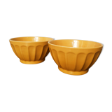 Duo of rib bowls in faience