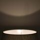De Rijn Leiderdorp Table Lamp