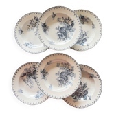 6 assiettes terre de fer 