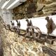 Vintage wall coat and hat rack