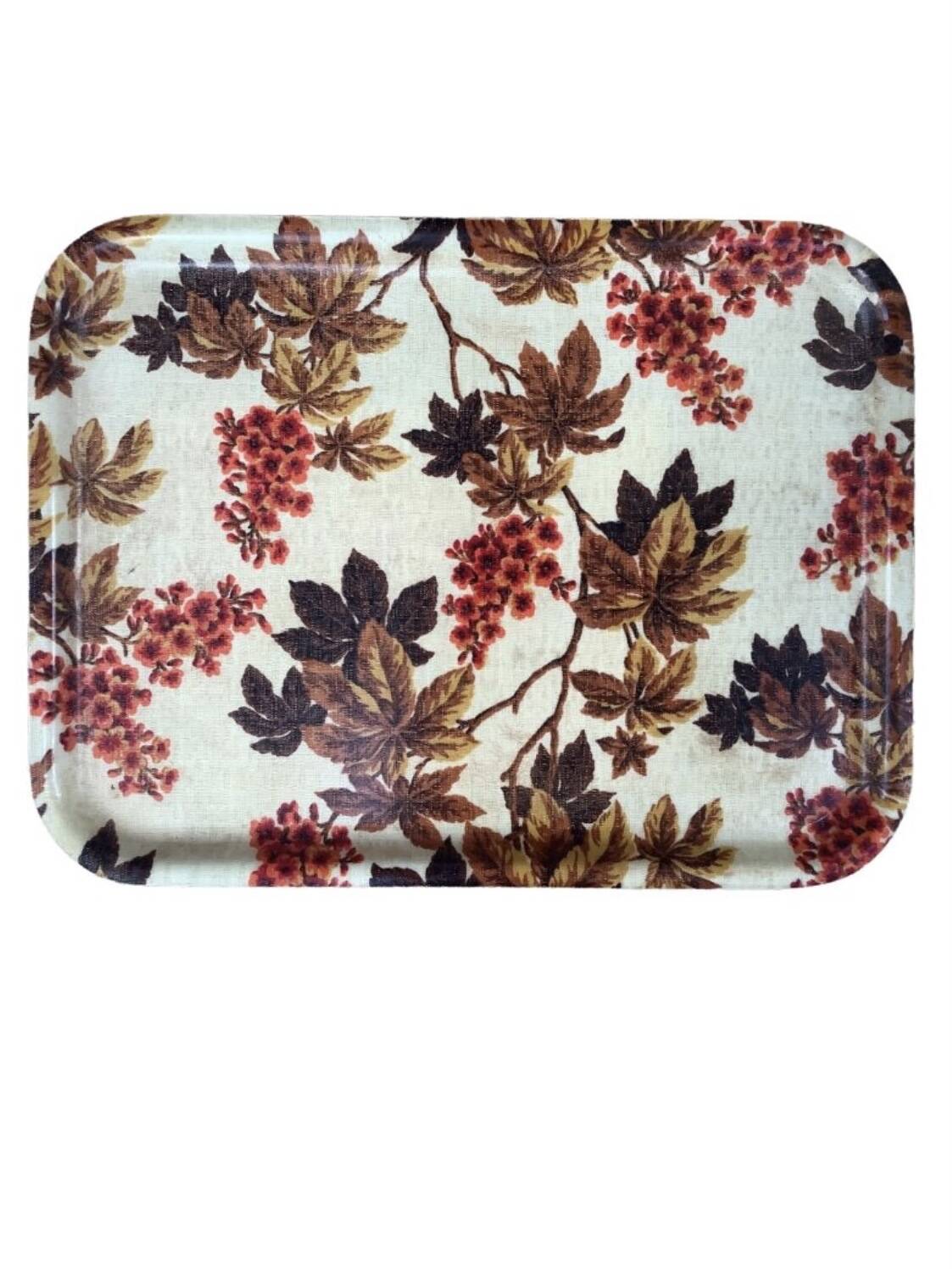 Vintage fiberglass plate