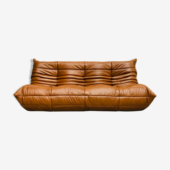 Togo sofa by Michel Ducaroy for Ligne Roset