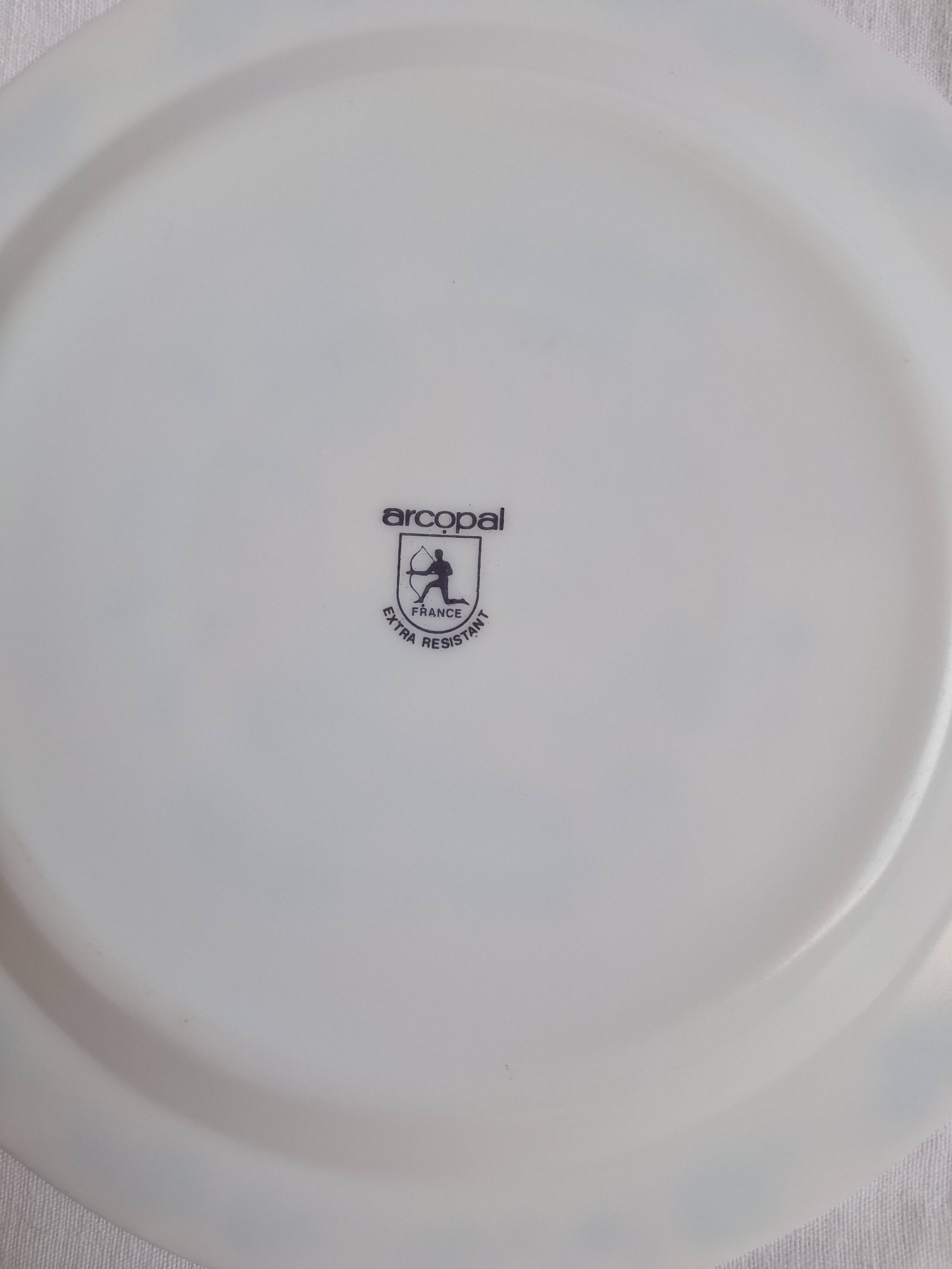 Vintage blue dinner plates