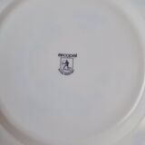 Vintage blue dinner plates