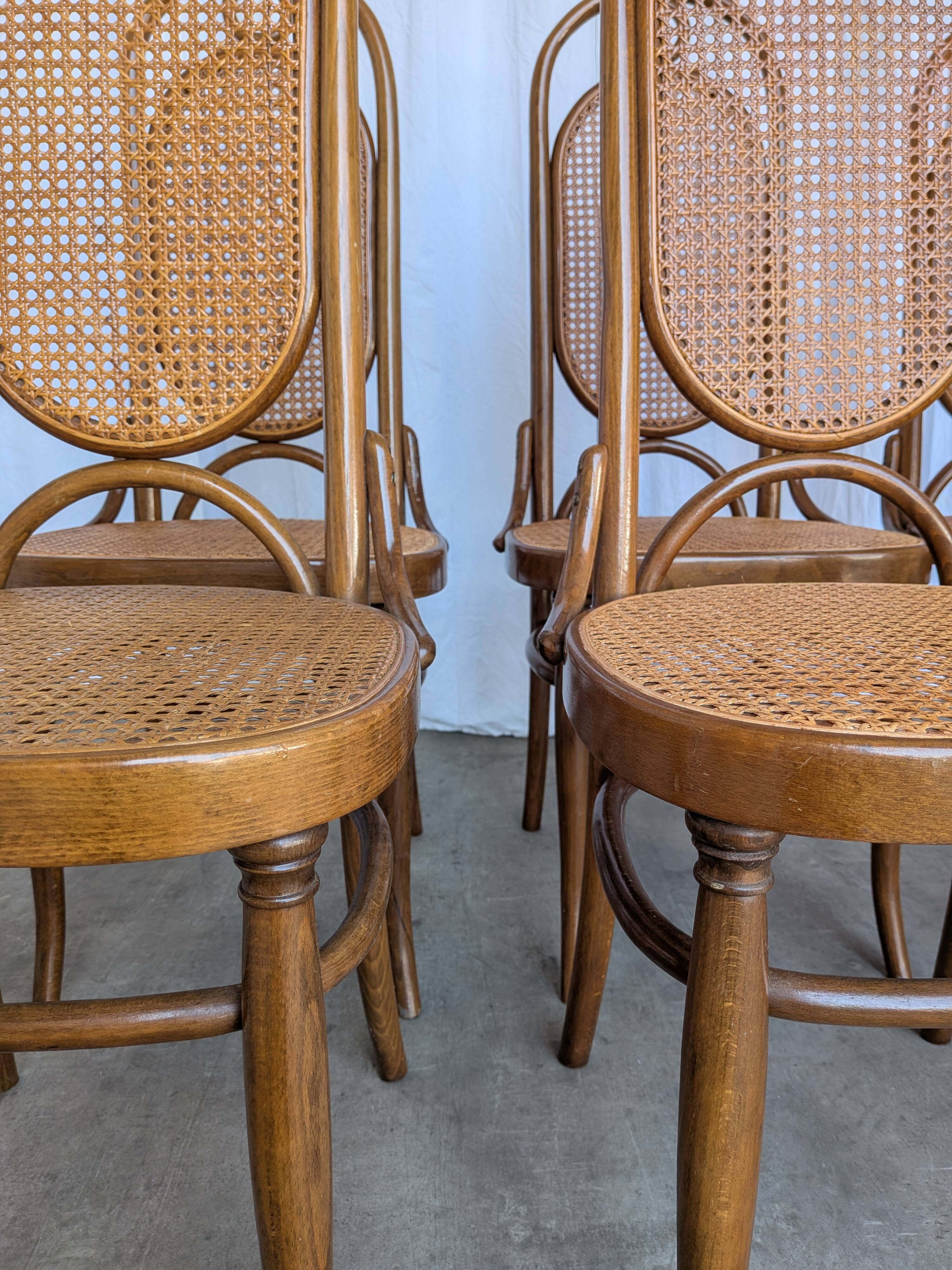 Set of 6 Mid-century Bentwood Cane Dining Chair, Thonet Style, 1970s Yugosl