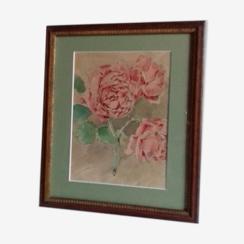 Tableau aquarelle ancienne " 3 roses épanouies "