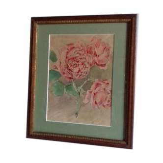 Tableau aquarelle ancienne " 3 roses épanouies "