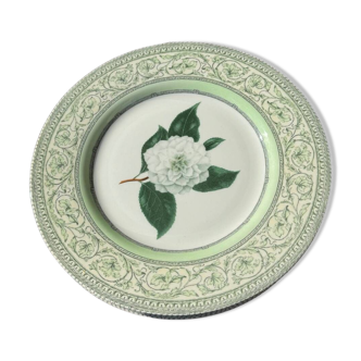 Assiette plate the royal horticultural