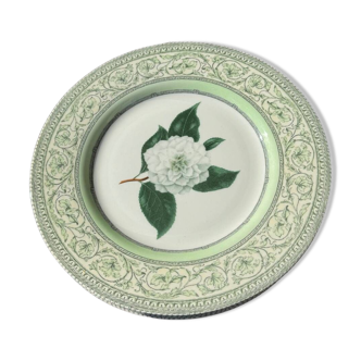 The royal horticultural dinner plate