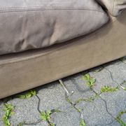 Canapé en cuir modulaire Walter Knoll