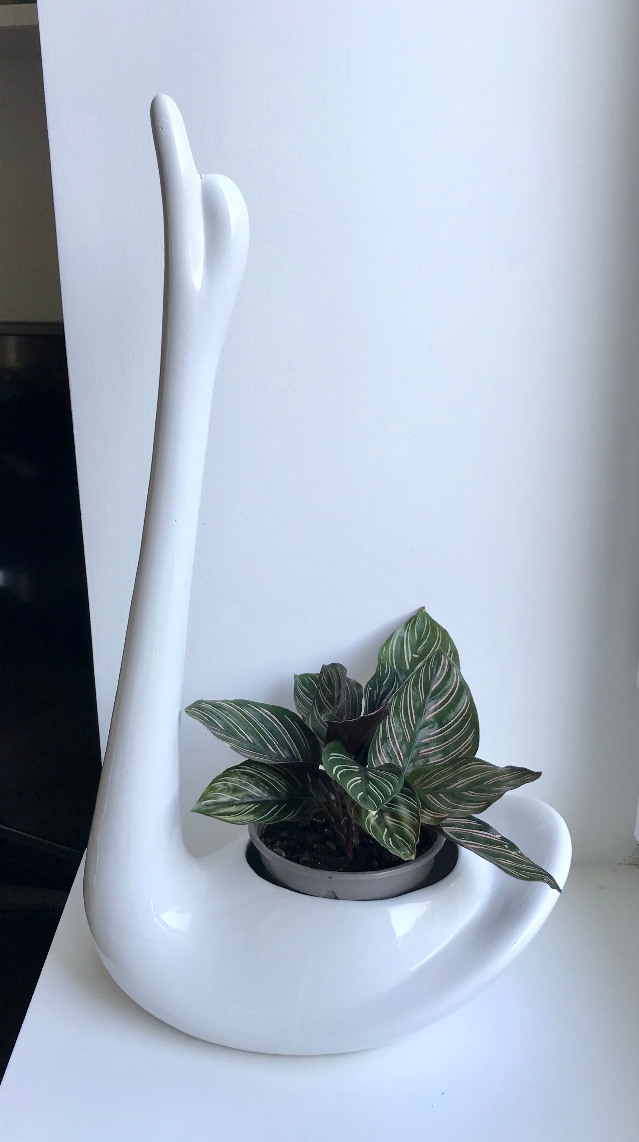 White swan pot cover in ceramic design 50s