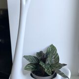 White swan pot cover in ceramic design 50s