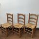 Lot de 3 chaises paillées années 50