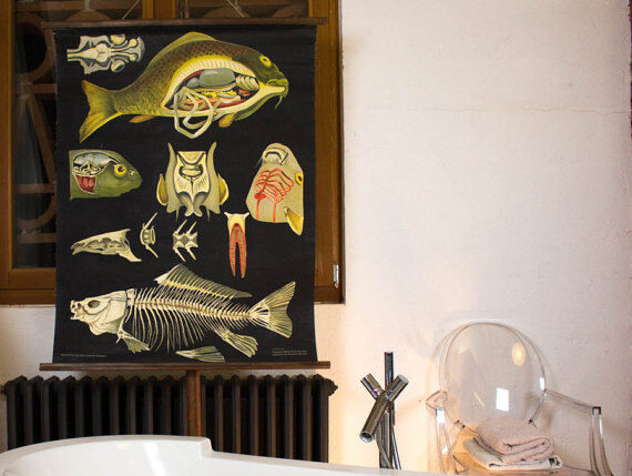 Wall poster of the school from Jung-Koch-Quentell "carp" 1952