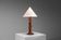 Lampe de table sculpturale en teck de forme organique