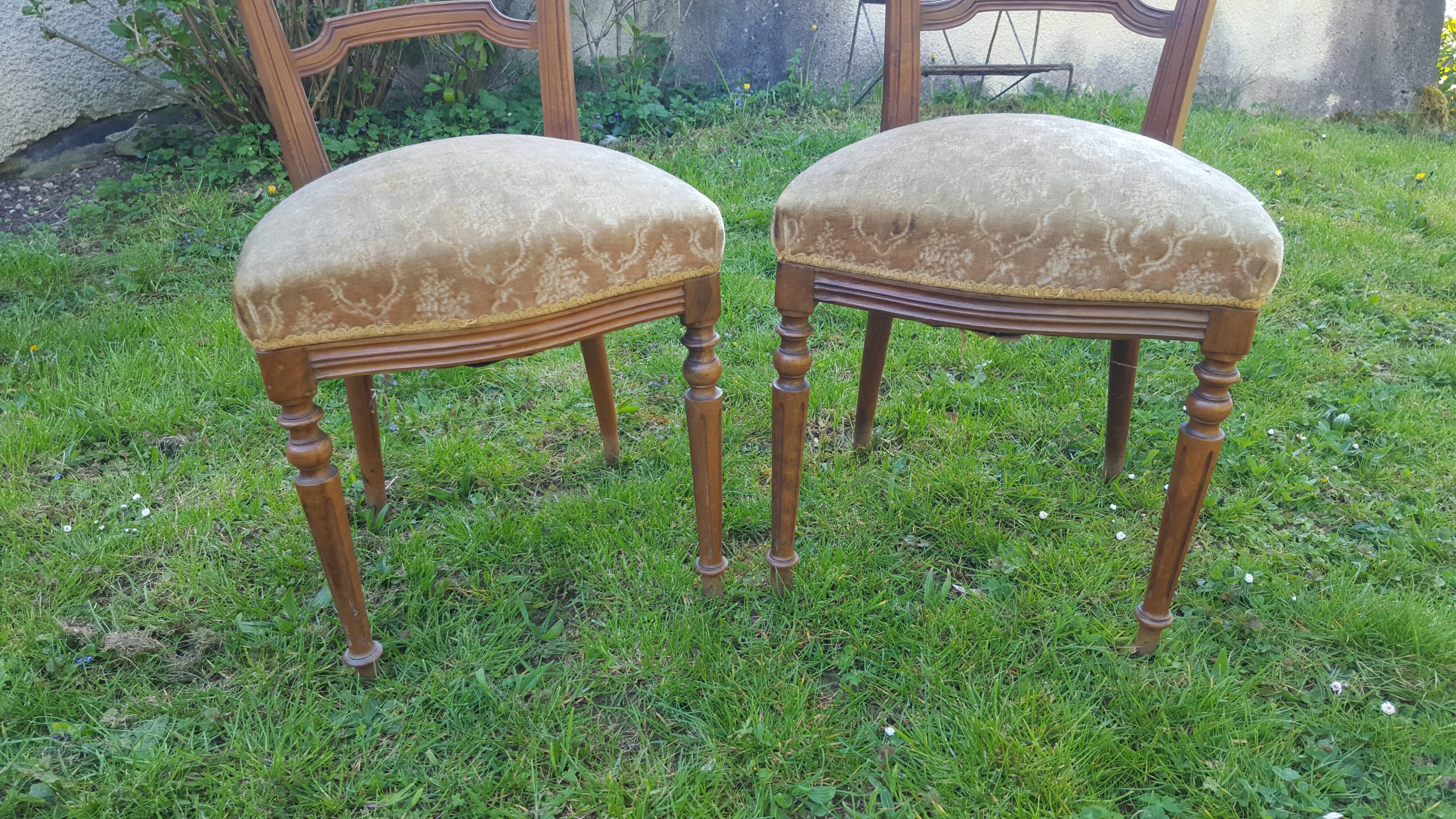 Pair of Napoleon III style chairs