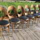 6 BAUMANN seagull chairs dark beech black skai