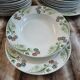 23 assiettes + plat anciens U&C Sarreguemines