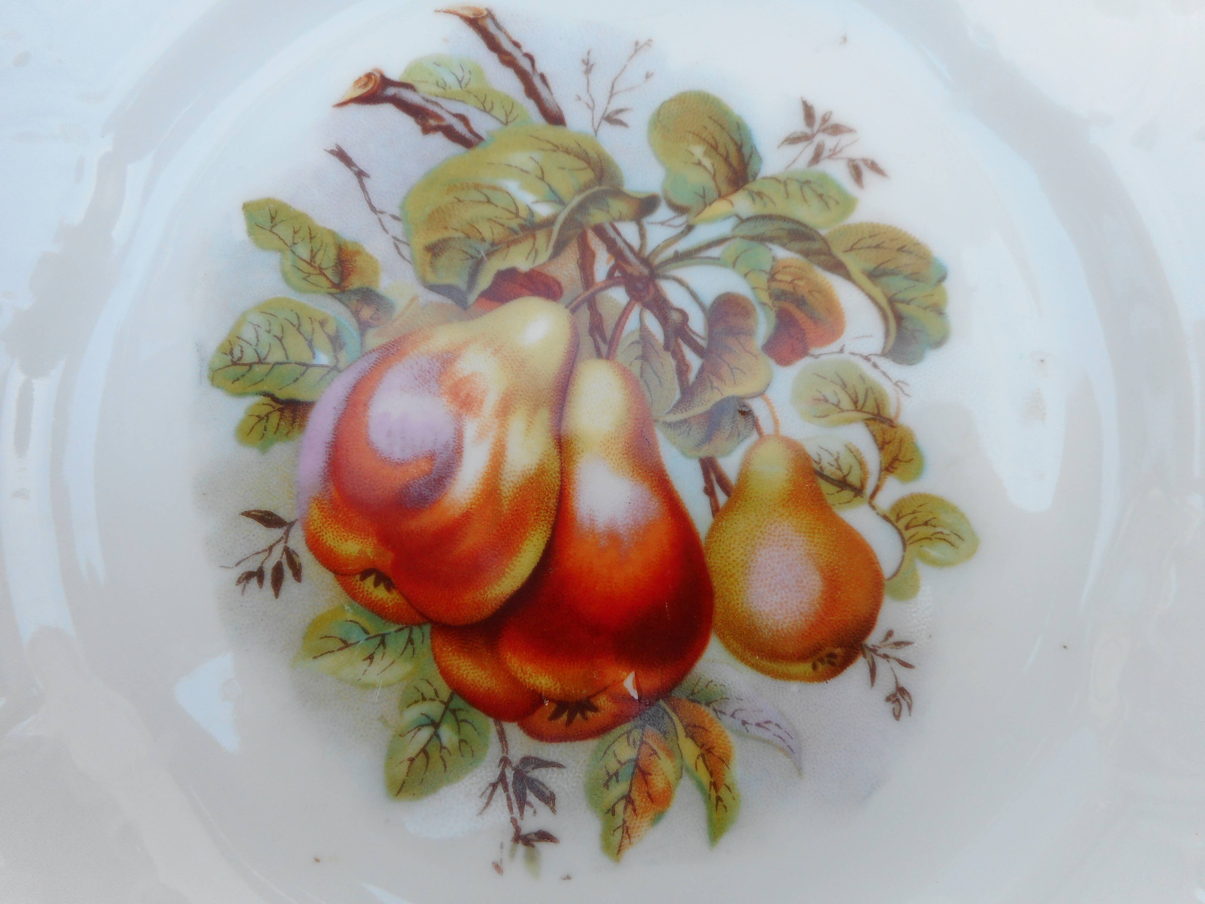 Lot of Six porcelain plates, fruit decoration